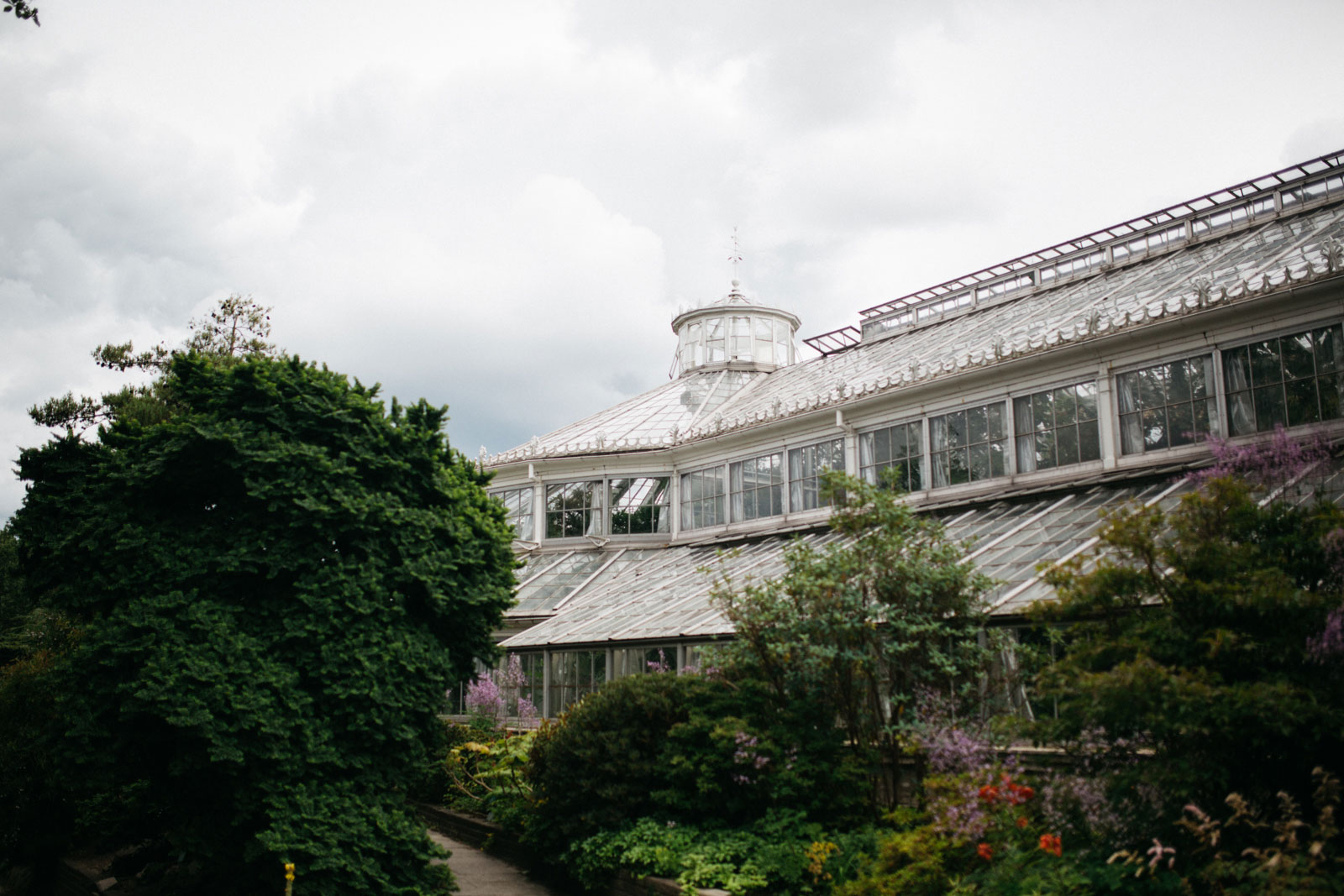 Jardin botanique de Copenhague – Sense and Sensibility