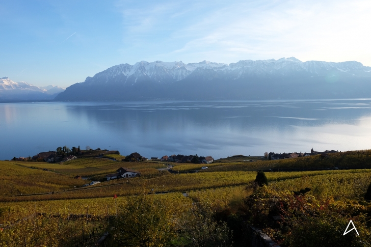 Balade aux couleurs automnales dans les vignes de Lavaux – Awwway