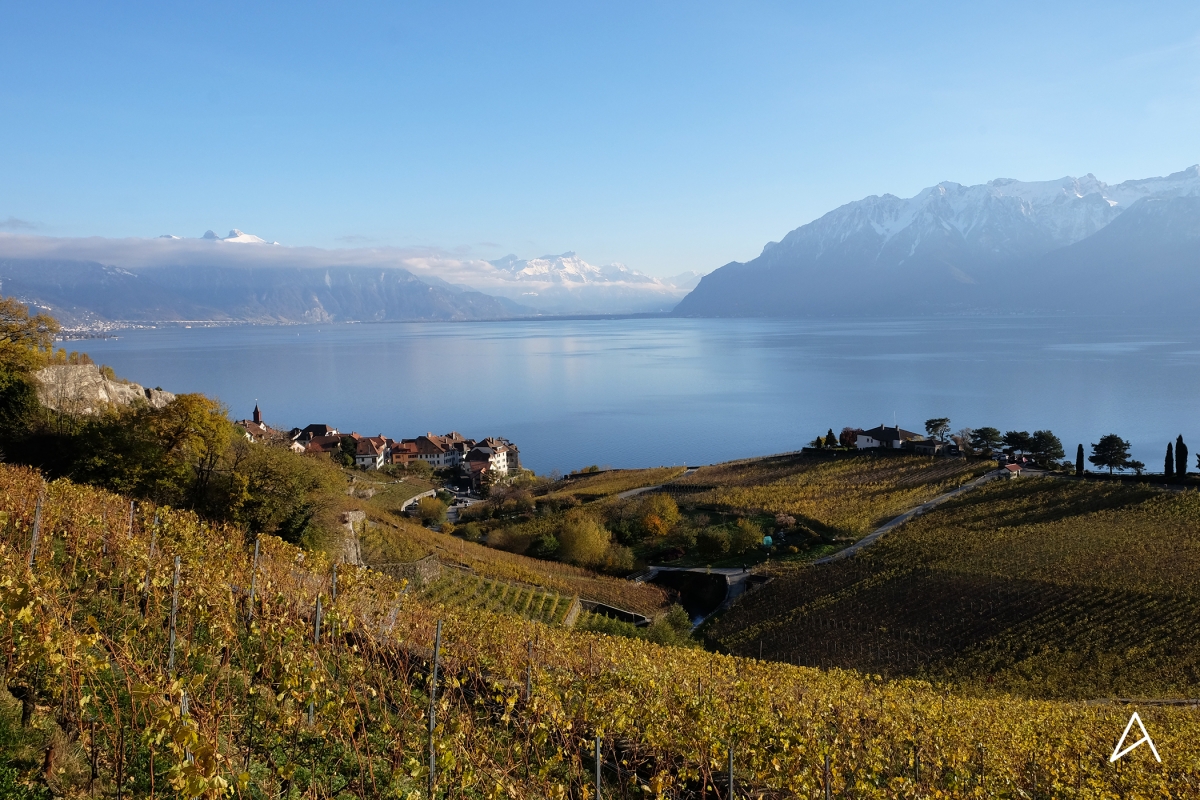 Balade aux couleurs automnales dans les vignes de Lavaux – Awwway