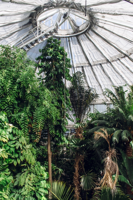 La grande serre tropicale du jardin botanique de Copenhague