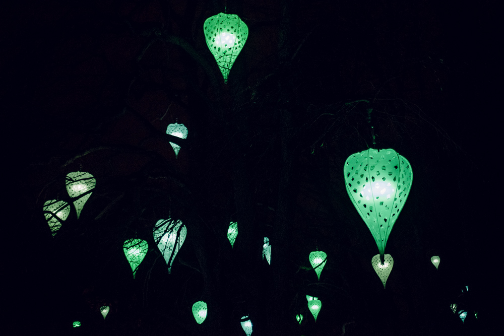 Fête des Lumières 2014 – Jardin d’hiver