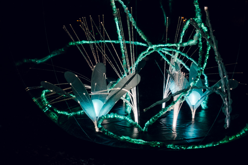 Fête des Lumières 2014 – Jardin d’hiver