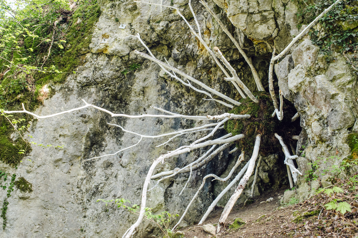 Jardin botanique de Neuchâtel, Land Art 2016 – Metabiosis (Stefano Devoti)