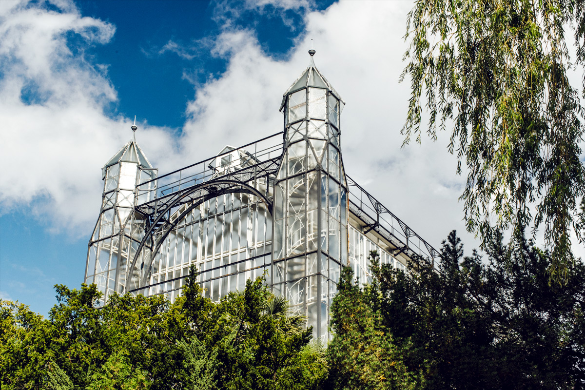 Les serres du jardin botanique de Berlin • L'Odeur du Café