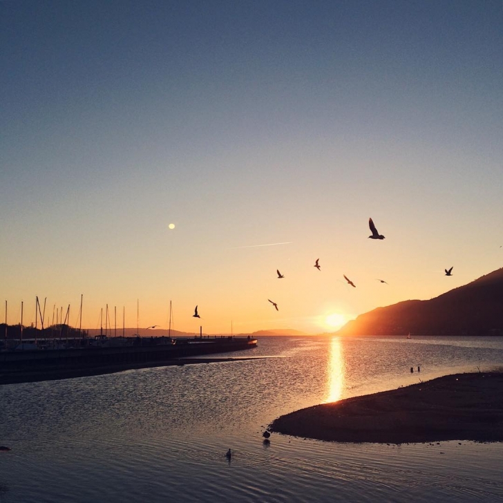 Le coucher de soleil sur le lac de Bienne