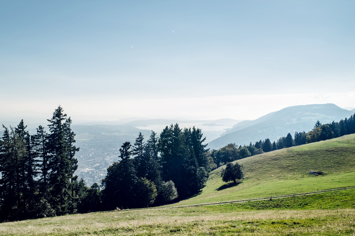 Vue sur la région des trois lacs et le Seeland depuis la montagne de Boujean