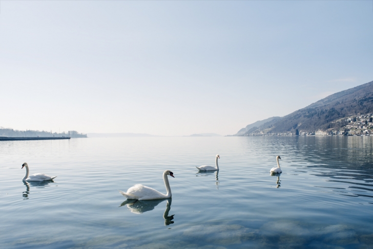 Balade hivernale au bord du lac de Bienne