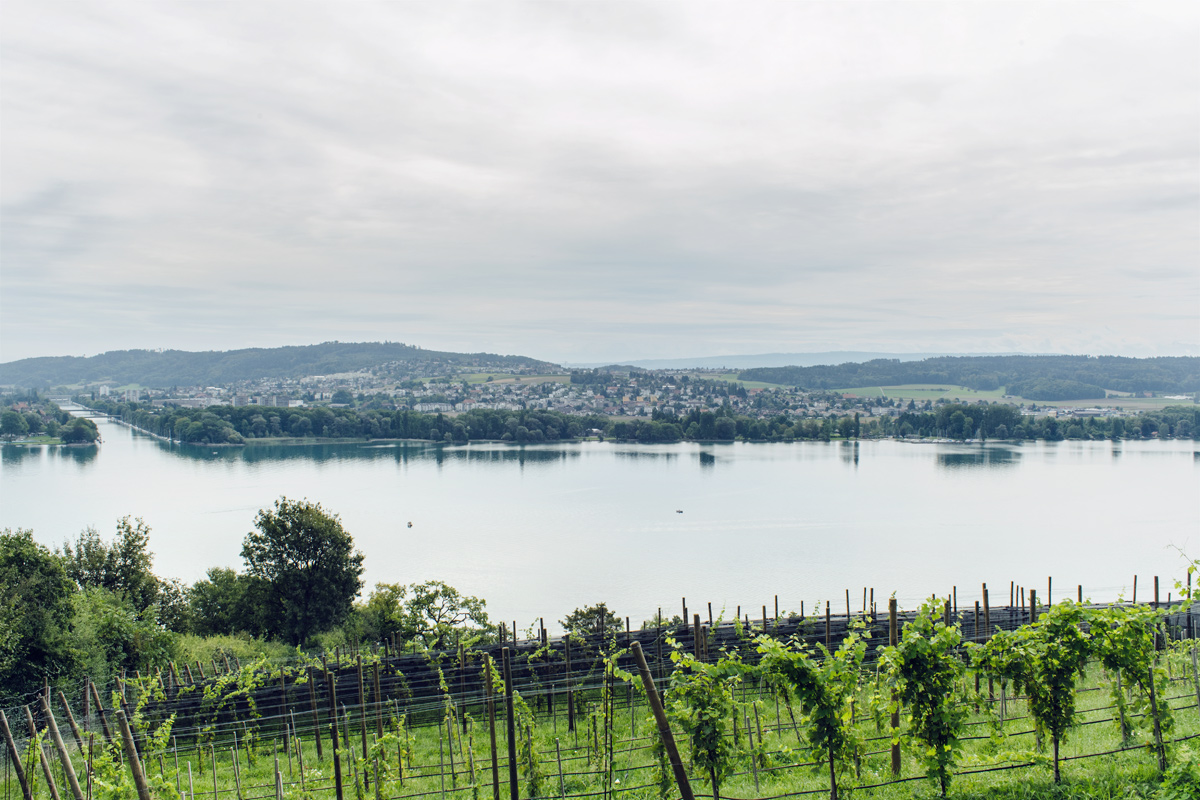 Vue sur le lac de Bienne et l'Aar depuis le Chemin des Vignes