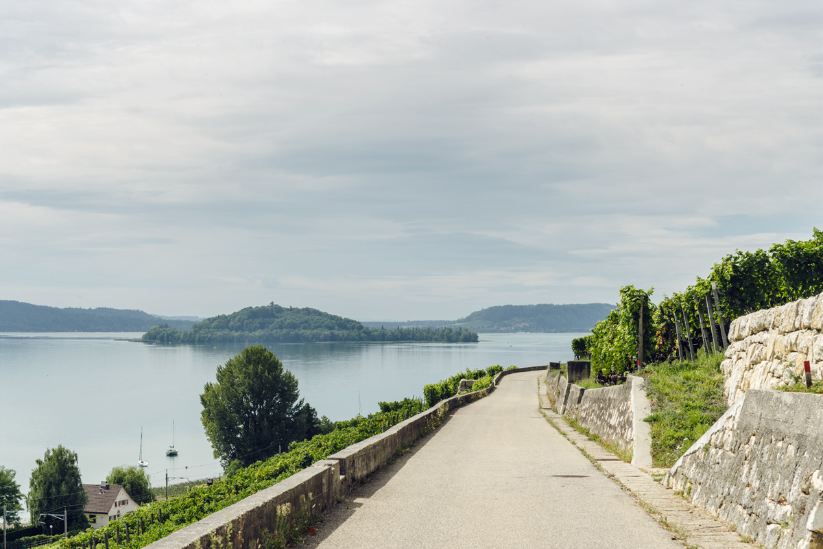 Vue sur le lac de Bienne et l'Île St-Pierre depuis le Chemin des Vignes