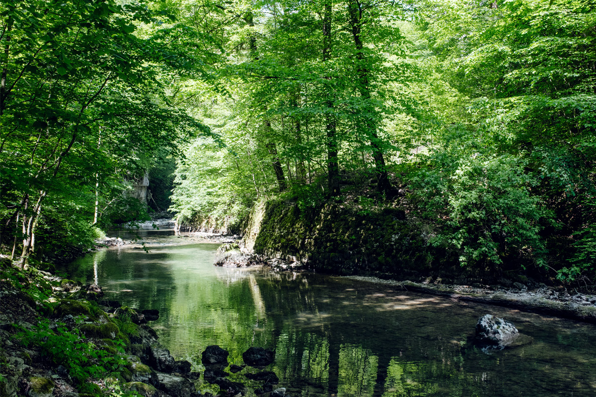 Balade dans les gorges du Taubenloch