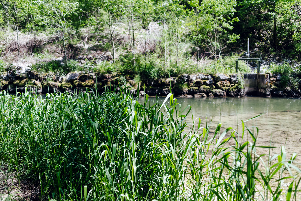 Balade dans les gorges du Taubenloch