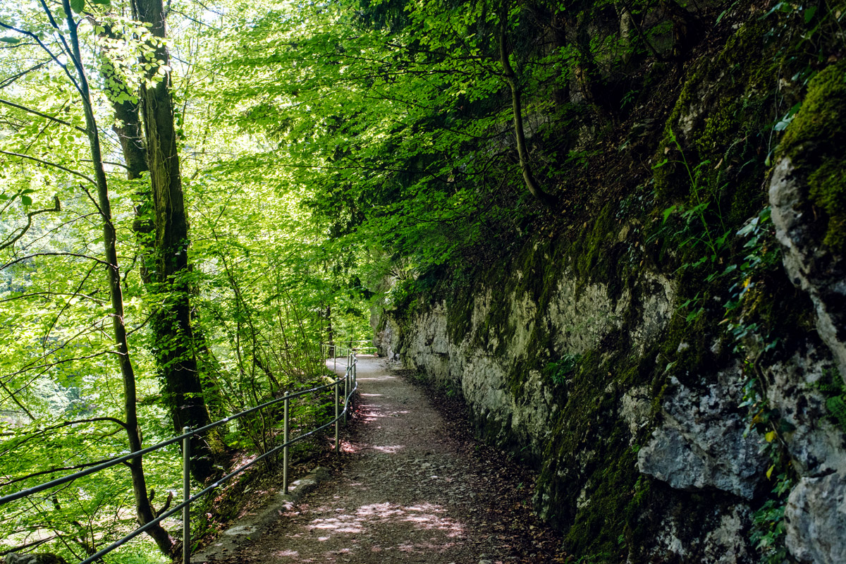 Balade dans les gorges du Taubenloch