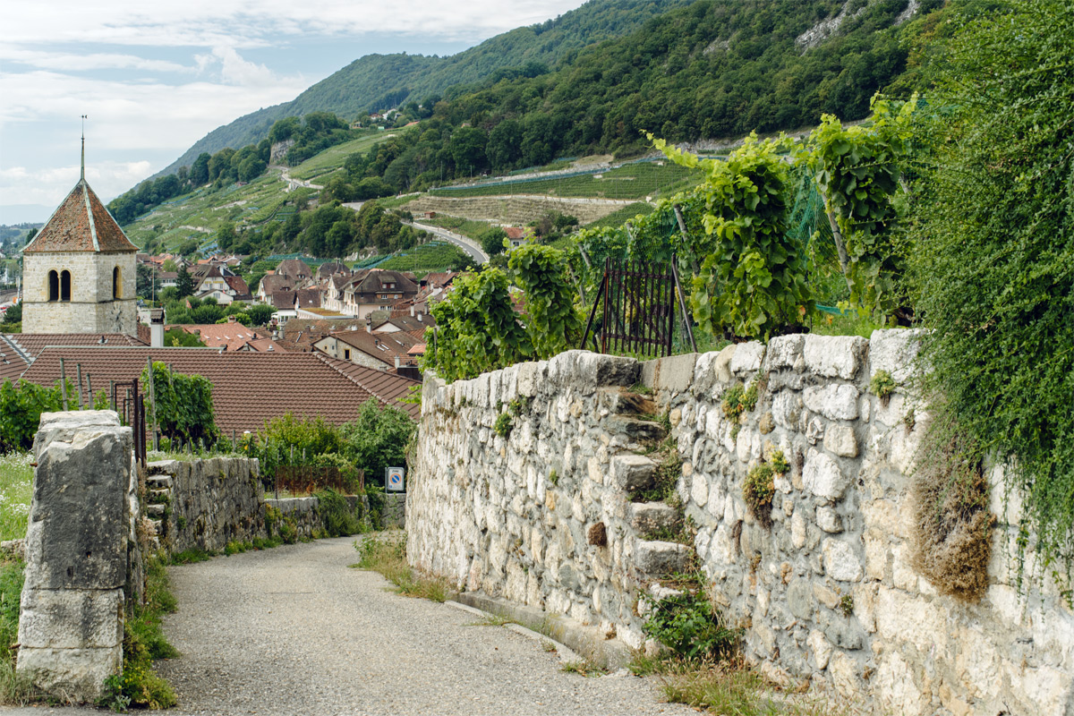 Balade dans le village viticole de Twann