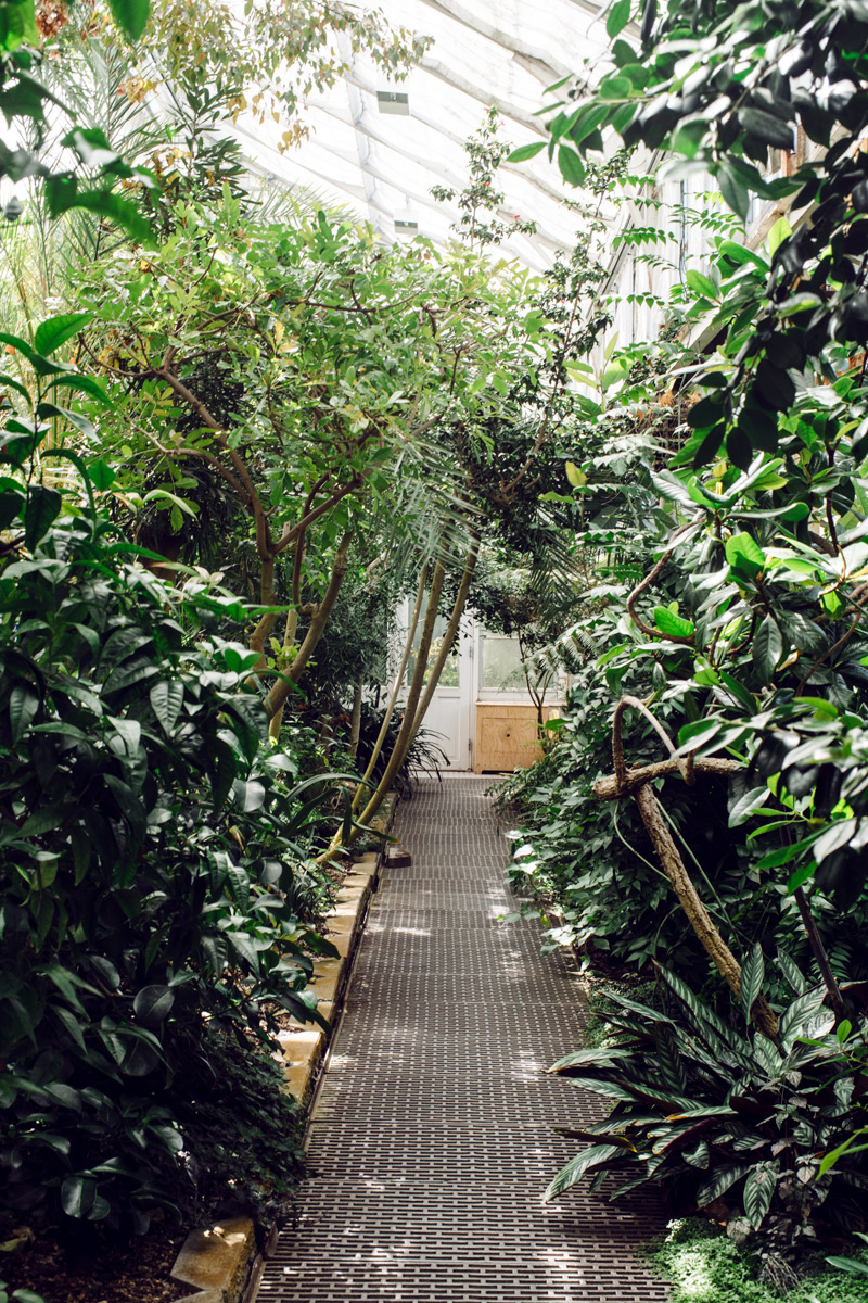 Le jardin botanique de Copenhague • L'Odeur du Café