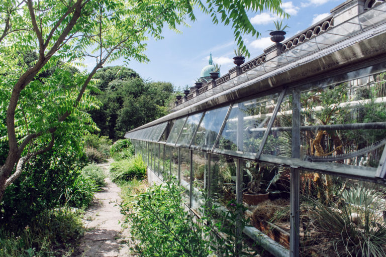 Le jardin botanique de Copenhague • L'Odeur du Café