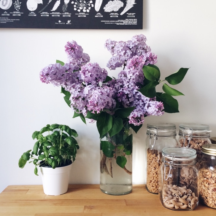 Bocaux de pâtes et bouquet de lilas