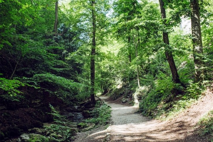 Balade dans les gorges de Sainte Vérène