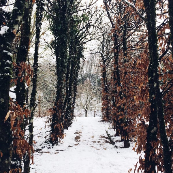 Le jardin botanique de Neuchâtel sous la neige