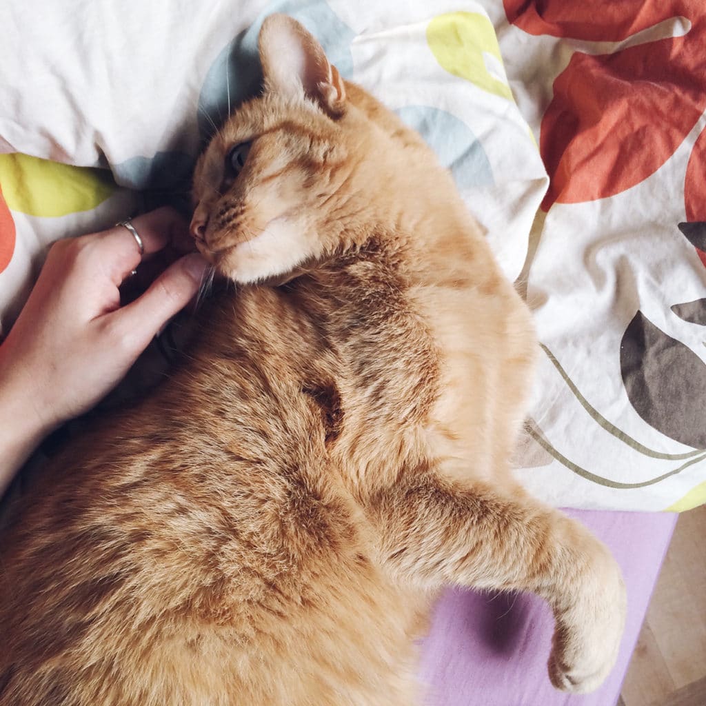 Instant câlin avec ma petite Dali