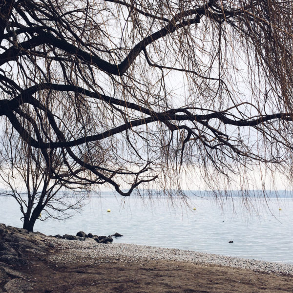 Balade au bord du lac de Neuchâtel