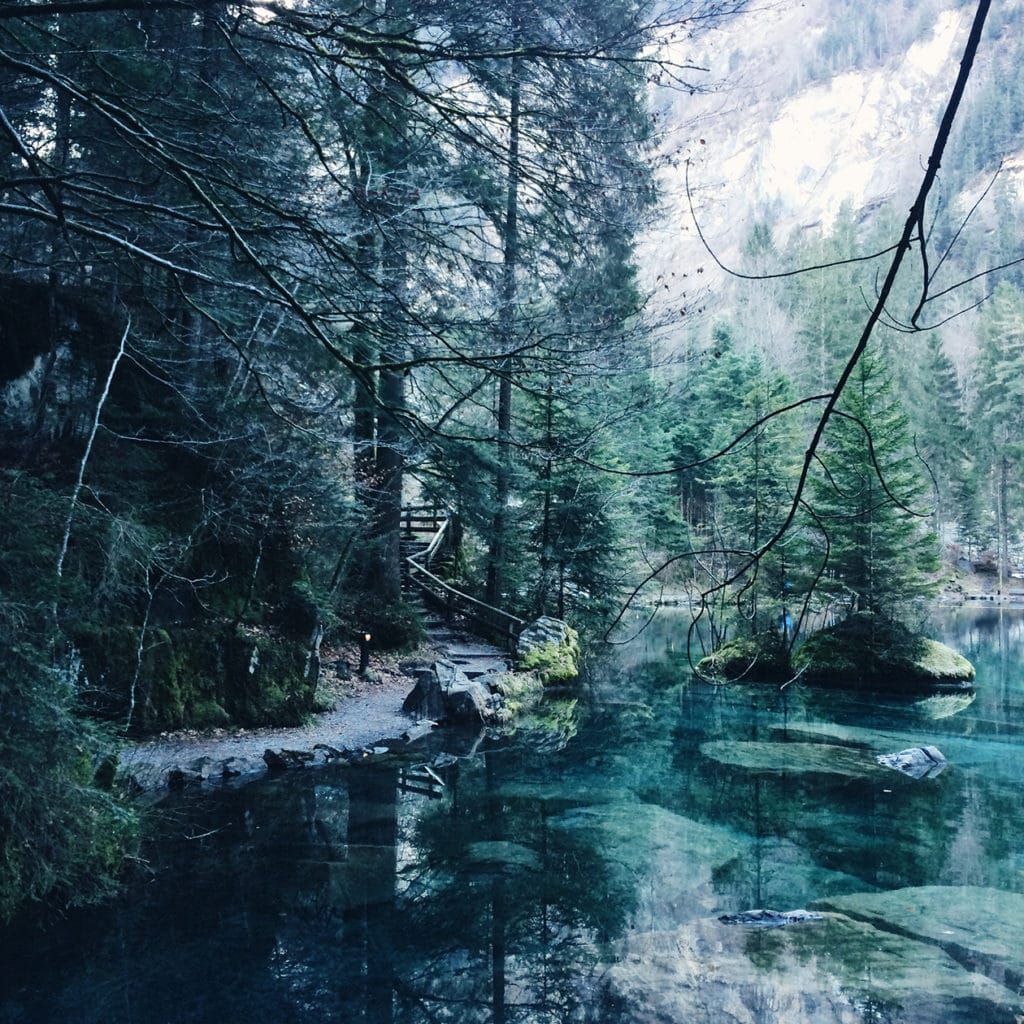 Excursion dans l'Oberland bernois: le Blausee