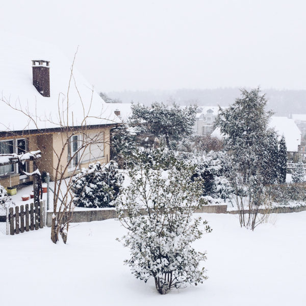 Bienne sous la neige