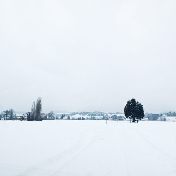 La campagne neuchâteloise sous la neige