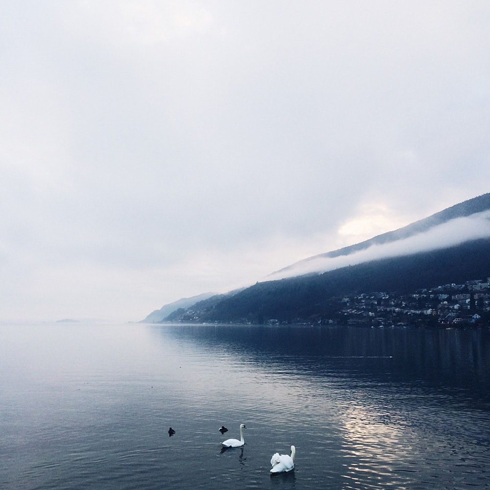 La fin de journée au bord du lac de Bienne