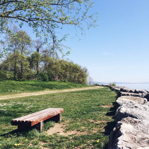 Balade au bord du lac de Neuchâtel