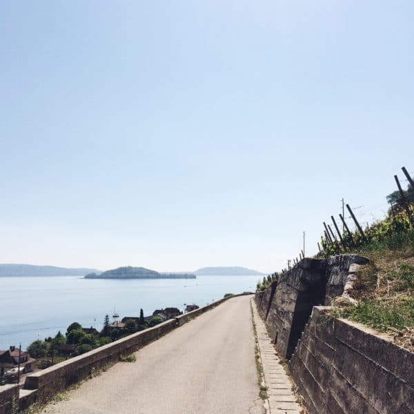 Balade le long du chemin des vignes, au bord du lac de Bienne