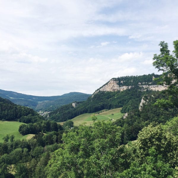 Vue sur le parc régional de Thal depuis les ruines du château de Neu-Falkenstein