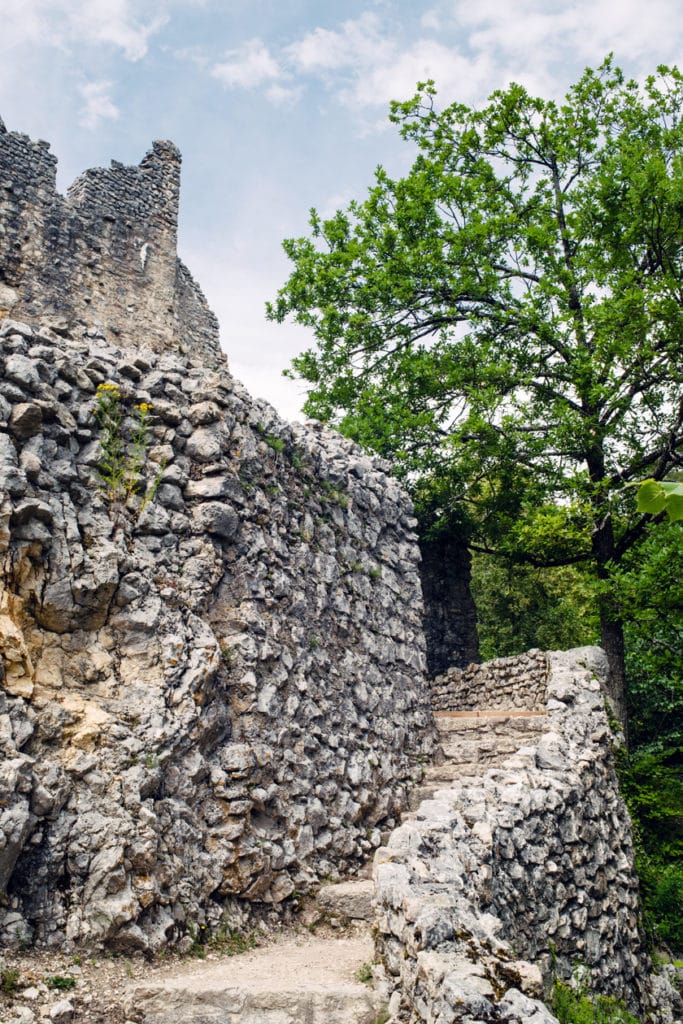 Les ruines du Château de Neu-Falkenstein