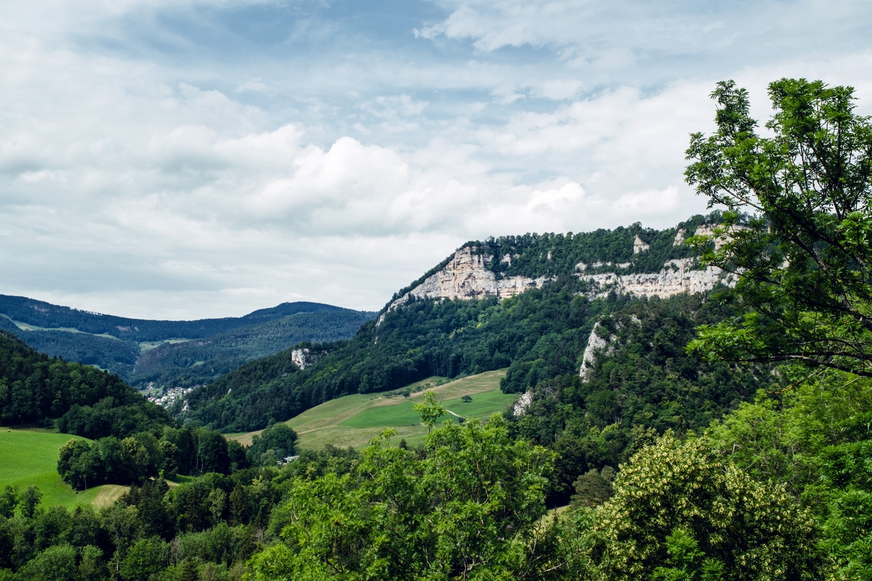 Vue sur le Parc Régional de Thal depuis les ruines du Château de Neu-Falkenstein