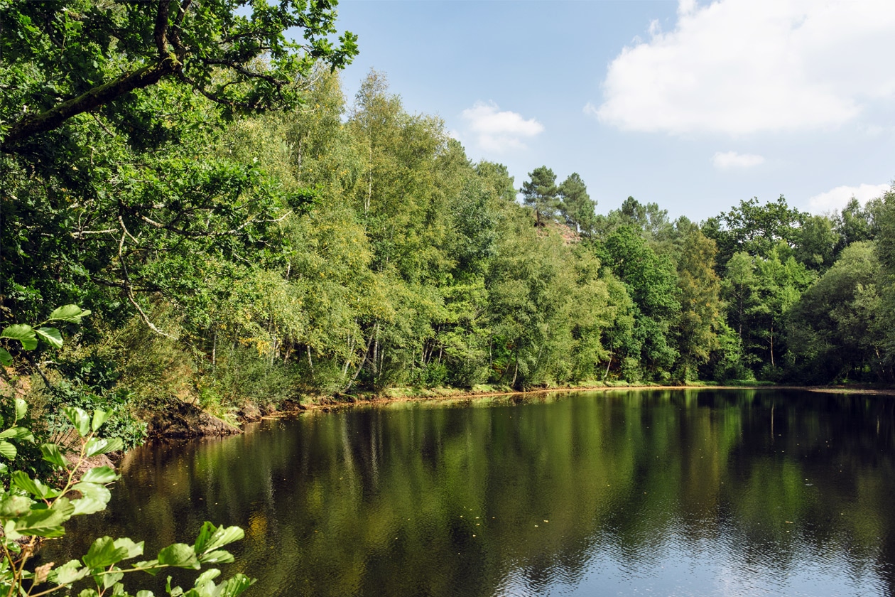 Bretagne, forêt de Paimpont: le miroir aux fées