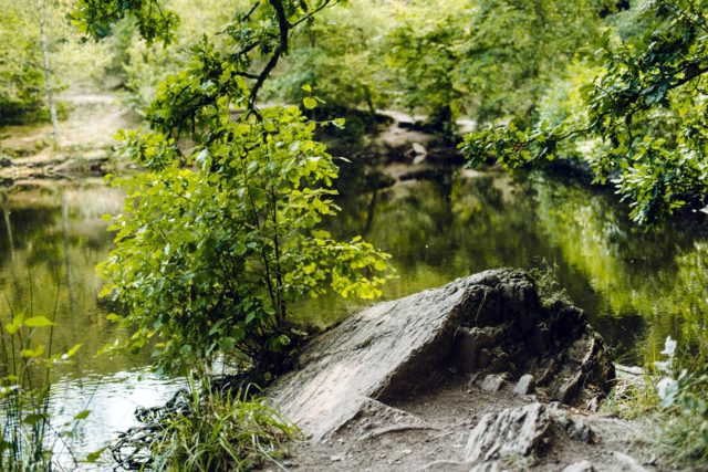 Bretagne, forêt de Paimpont: le Miroir aux Fées