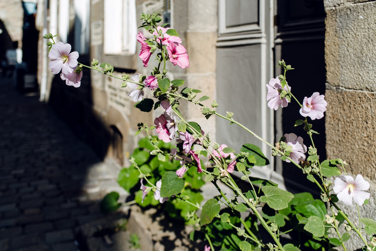 Balade dans les rues du vieux Rennes