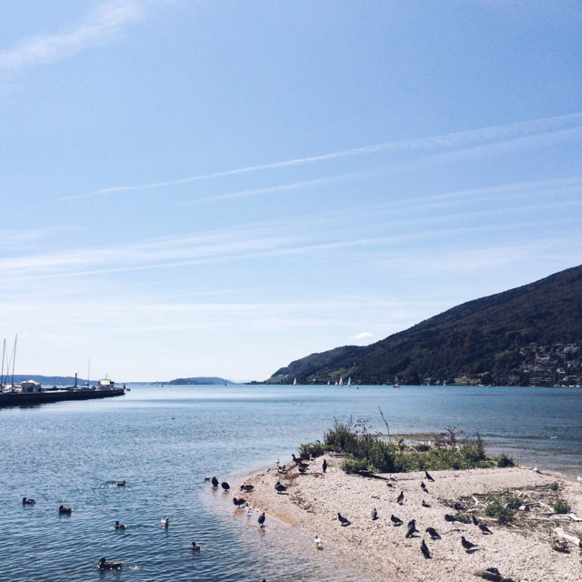 Promenade au bord du lac de Bienne