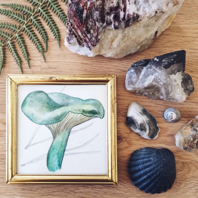 Petits trésors ramenés de Bretagne: cristaux de quartz breton, coquillages et cailloux ramassés sur la plage, fougère séchées, aquarelle d'un petit champignon dans un cadre chiné