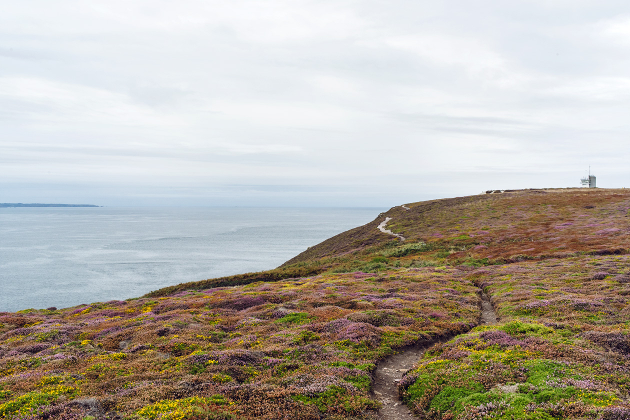 Bretagne: randonnée au Cap de la Chèvre sur la presqu'île de Crozon