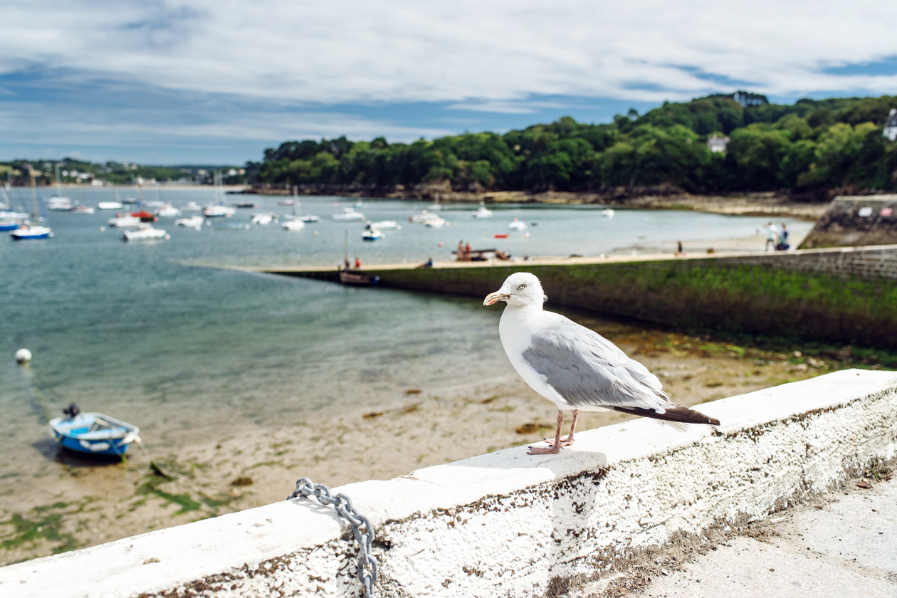 Bretagne: balade dans le port de Douarnenez