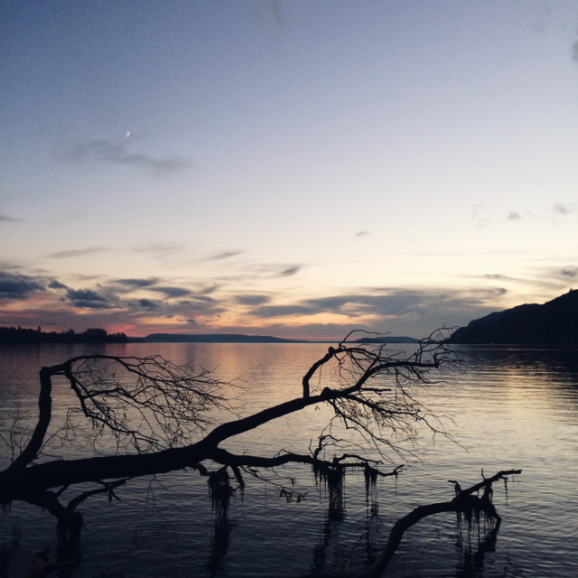 Promenade de fin de journée au bord du lac de Bienne