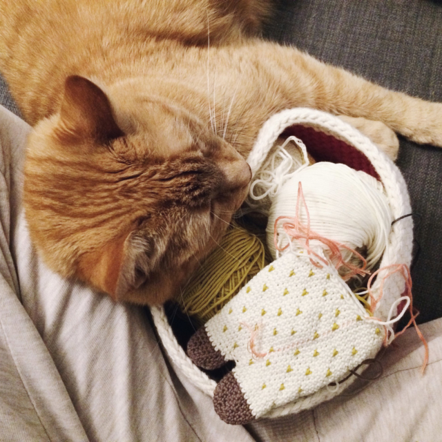 Mon petit chat roux couchée contre mes jambes et mon panier à crochet