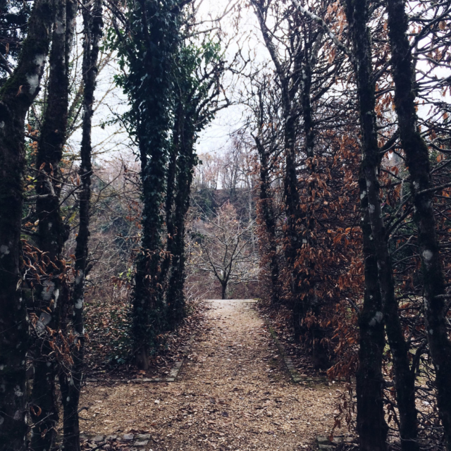 Promenade de début d'hiver au jardin botanique de Neuchâtel