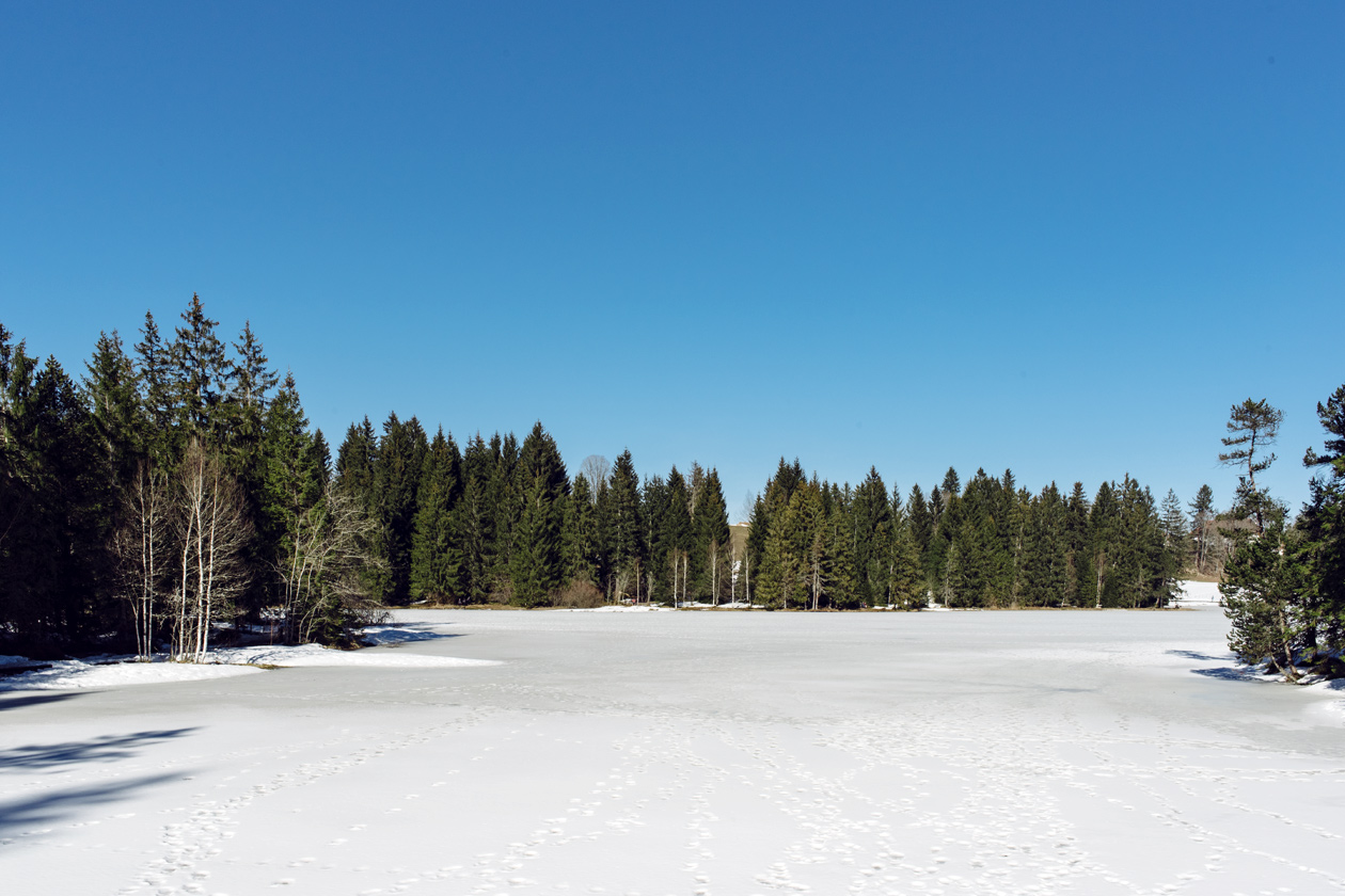 L'étang de la Guère, dans les Franches Montagnes, gelé et recouvert de neige