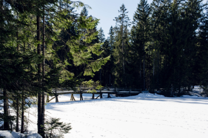 L'étang de la Guère, dans les Franches Montagnes, gelé et recouvert de neige