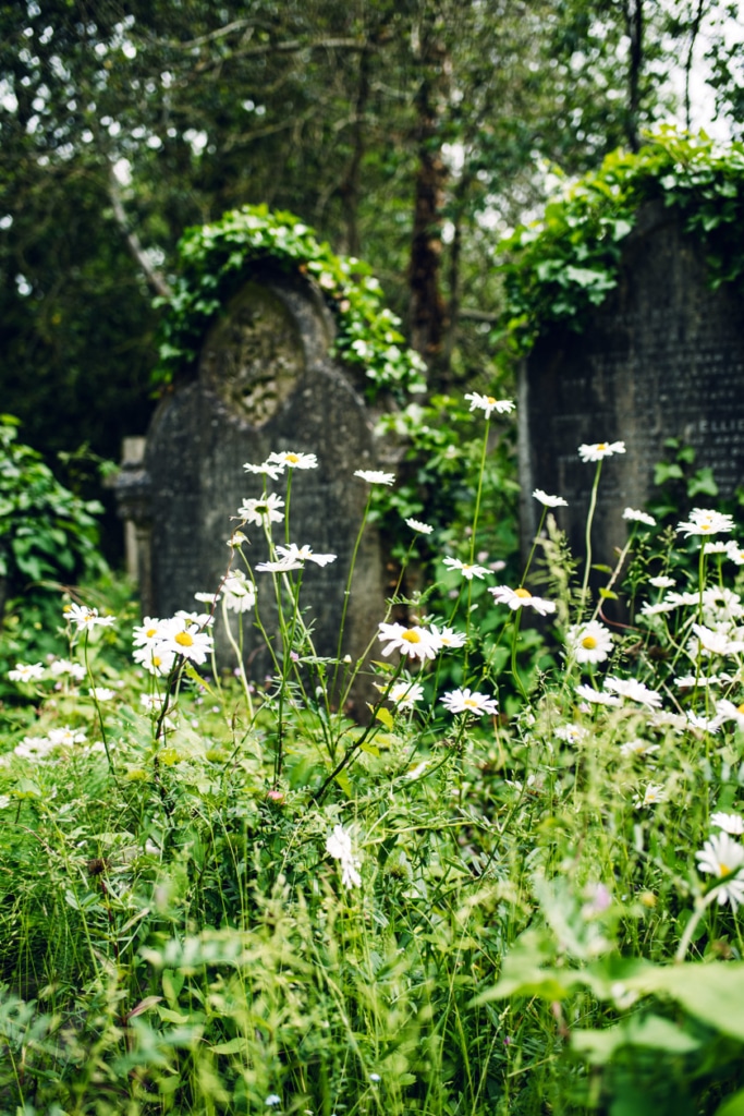 Visite du cimetière de Highgate, dans le nord de Londres