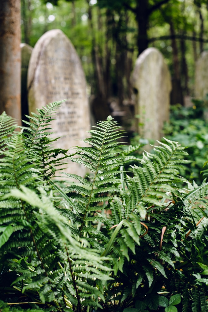 Visite du cimetière de Highgate, dans le nord de Londres