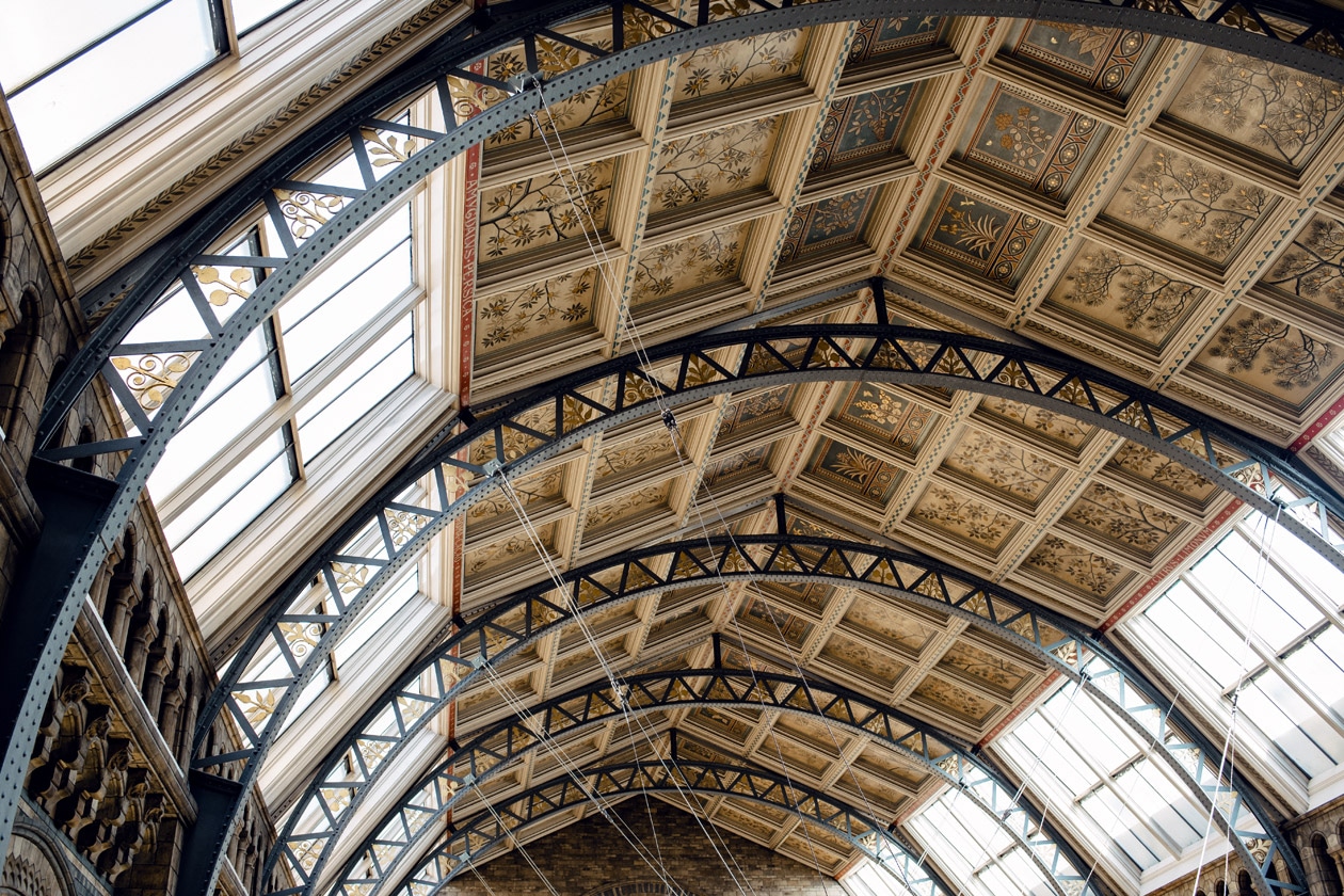 Grand hall d'entrée du Musée d'Histoire Naturelle de Londres