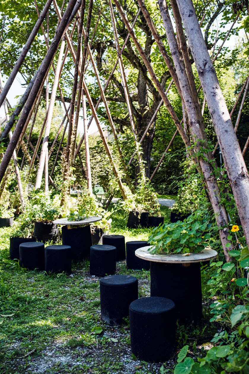 Lausanne Jardins 2019 – Micro Macro – Jardin de plantes grimpantes installé dans le square de Montétan