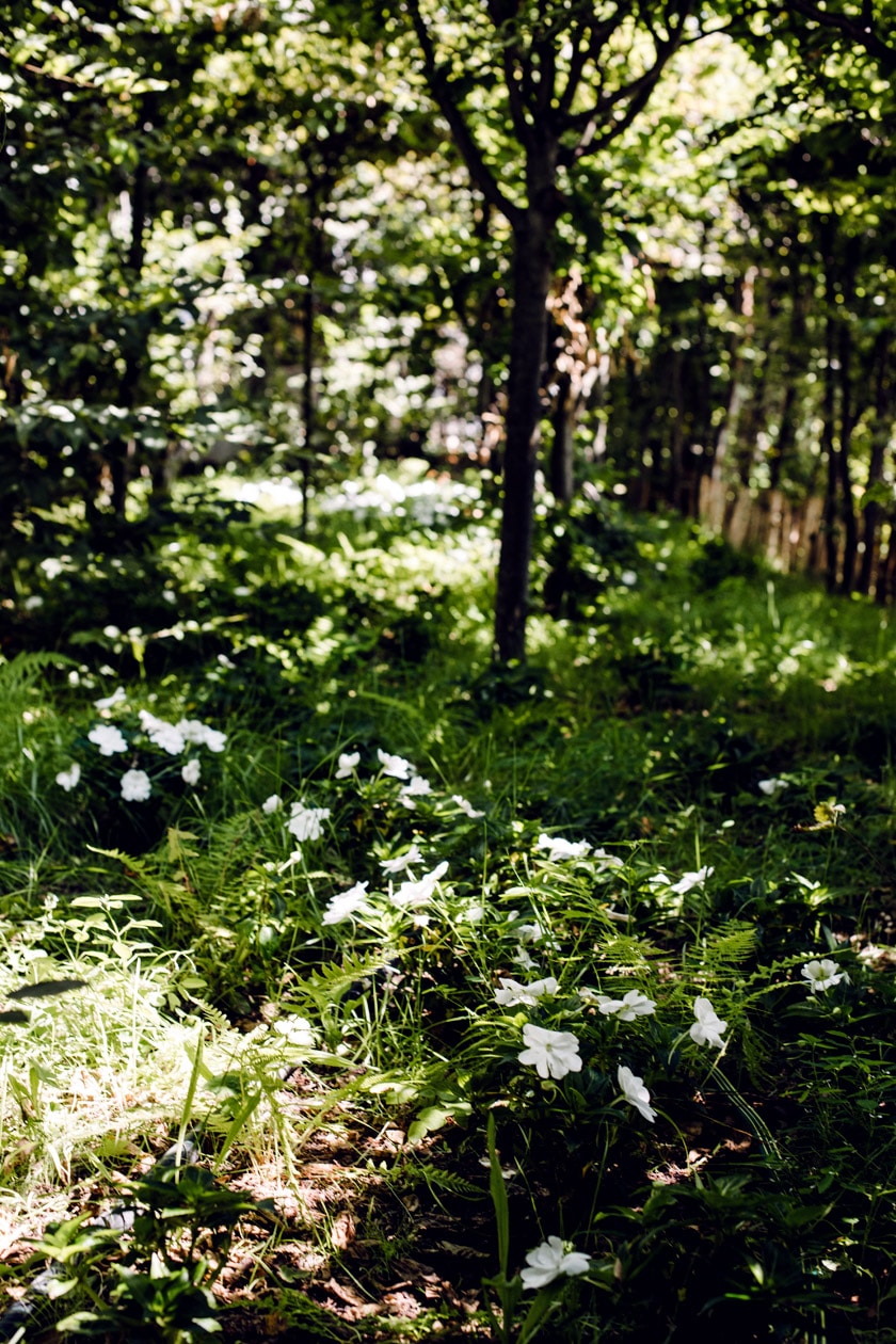 Lausanne Jardins 2019 – Bestial! – Forêt des clochettes 